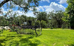 L'Aia Country Holidays